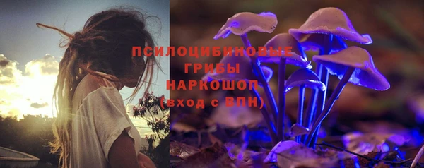 spice Вязники