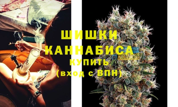ГАЛЛЮЦИНОГЕННЫЕ ГРИБЫ Вяземский