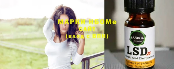 ГАЛЛЮЦИНОГЕННЫЕ ГРИБЫ Вяземский