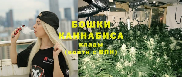 ГАЛЛЮЦИНОГЕННЫЕ ГРИБЫ Вяземский