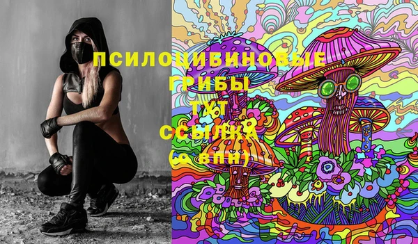 ГАЛЛЮЦИНОГЕННЫЕ ГРИБЫ Вяземский