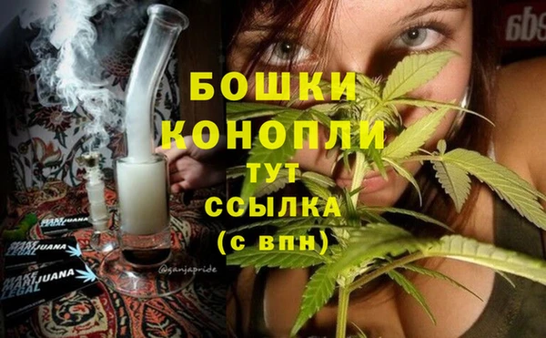 ГАЛЛЮЦИНОГЕННЫЕ ГРИБЫ Вяземский